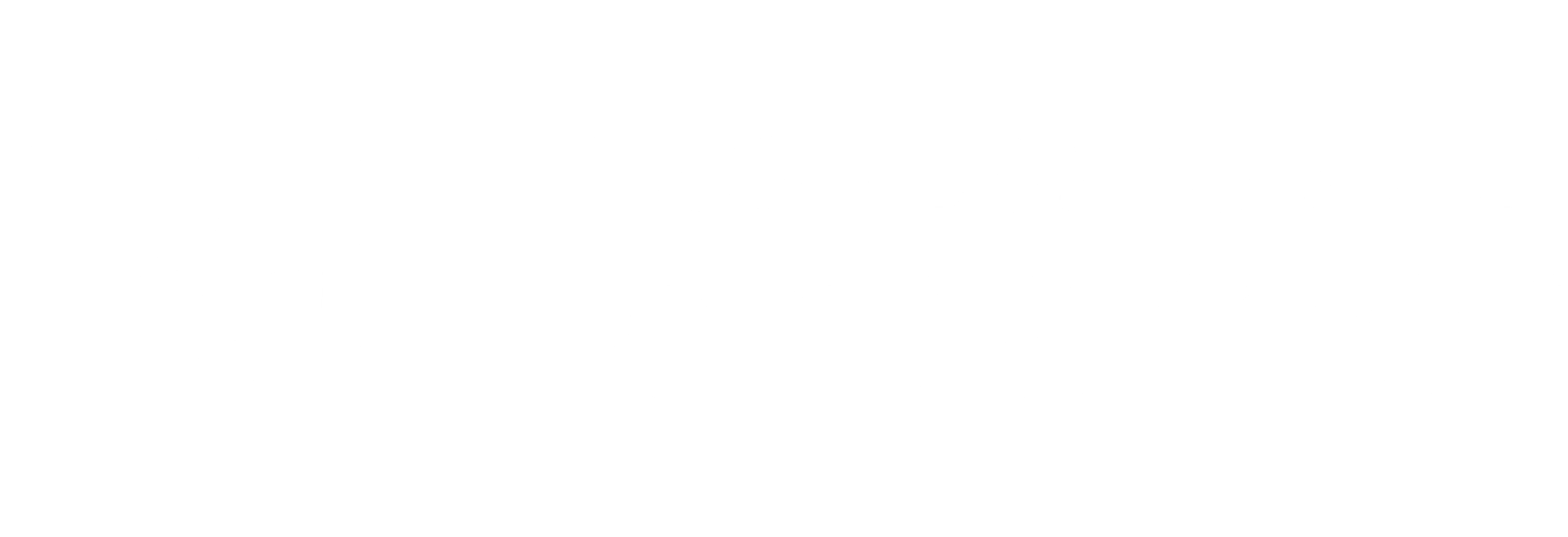 Professional Dreamer Inc.
